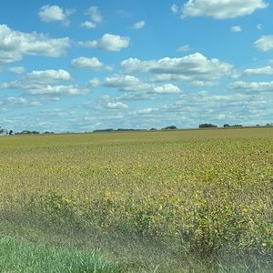 Meet your Posher, Marygrace